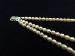pearl lot 1 a